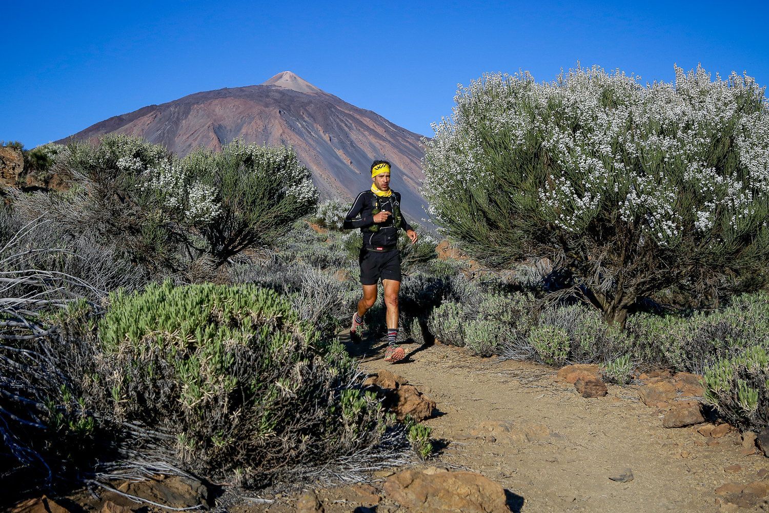 La Fred. Olsen Tenerife Bluetrail 2020 se disputará el 6 de junio y será puntuable para el Ultra Trail de Mont Blanc