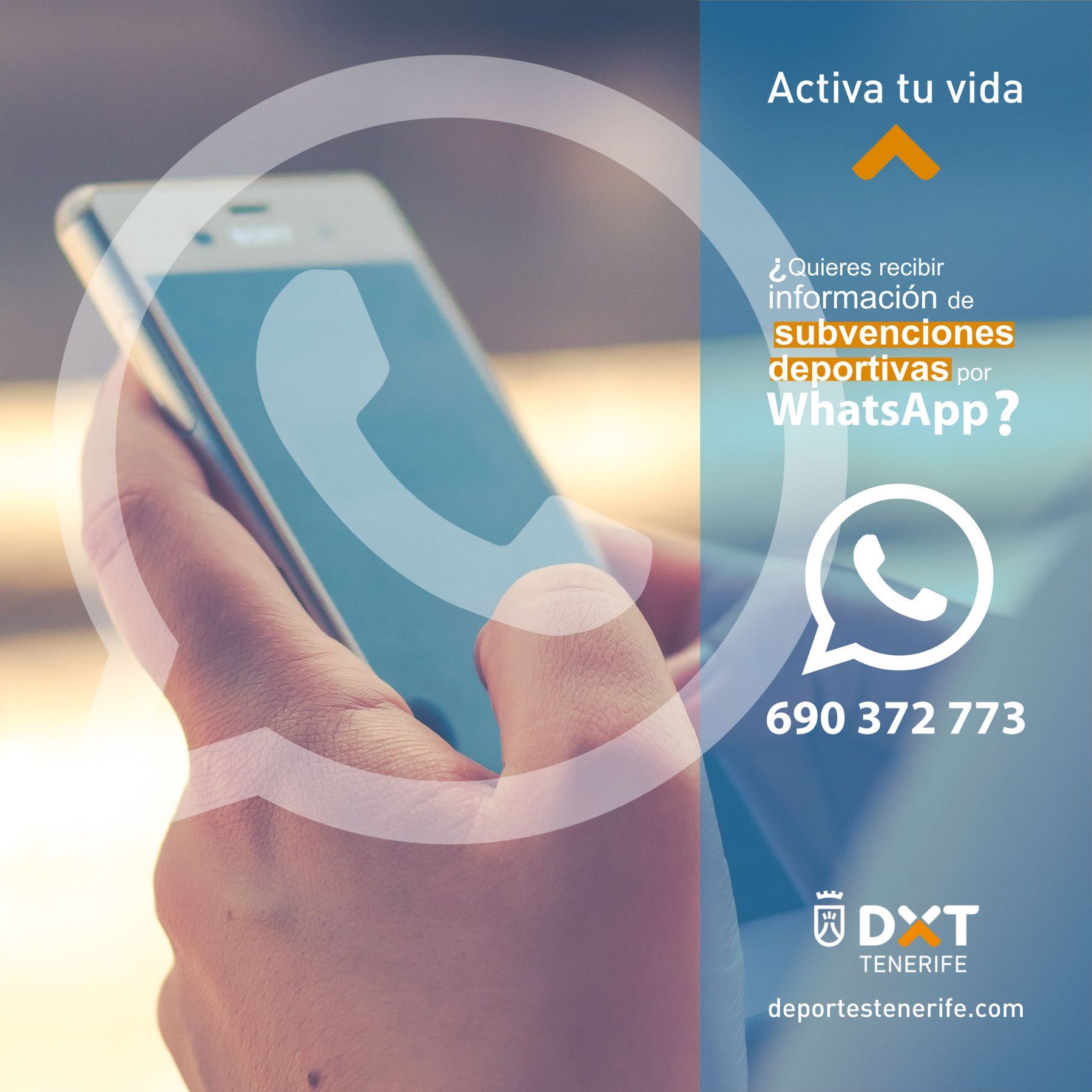 whatsappdxt6