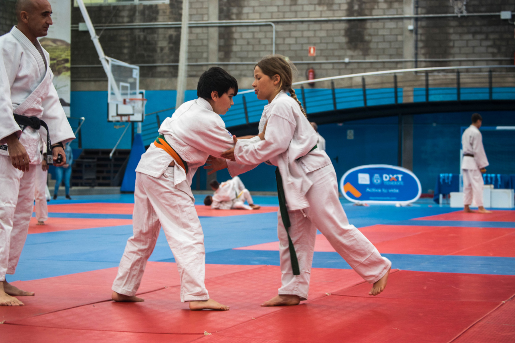 Arona acoge la jornada final de judo en los Juegos Cabildo