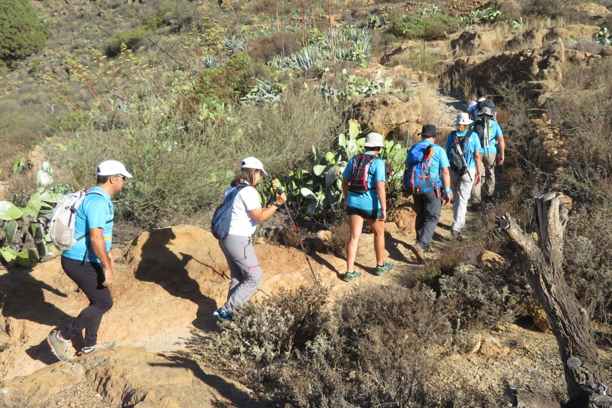 El Parque Rural de Teno acoge la primera ruta de senderismo de los VI Juegos Máster