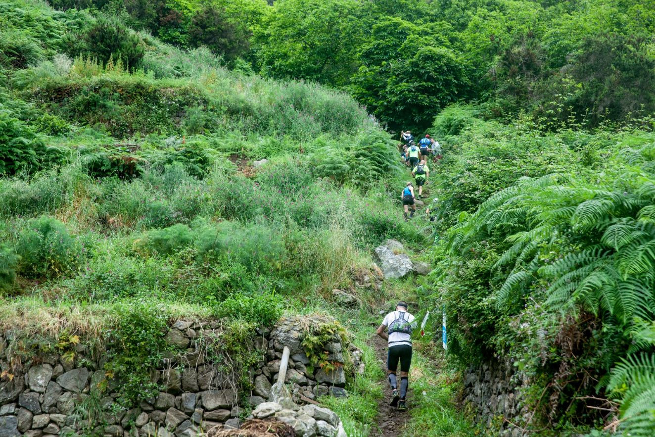 La Tenerife Bluetrail 2024 adapta sus recorridos tras el incendio y recupera la mítica subida al Asomadero