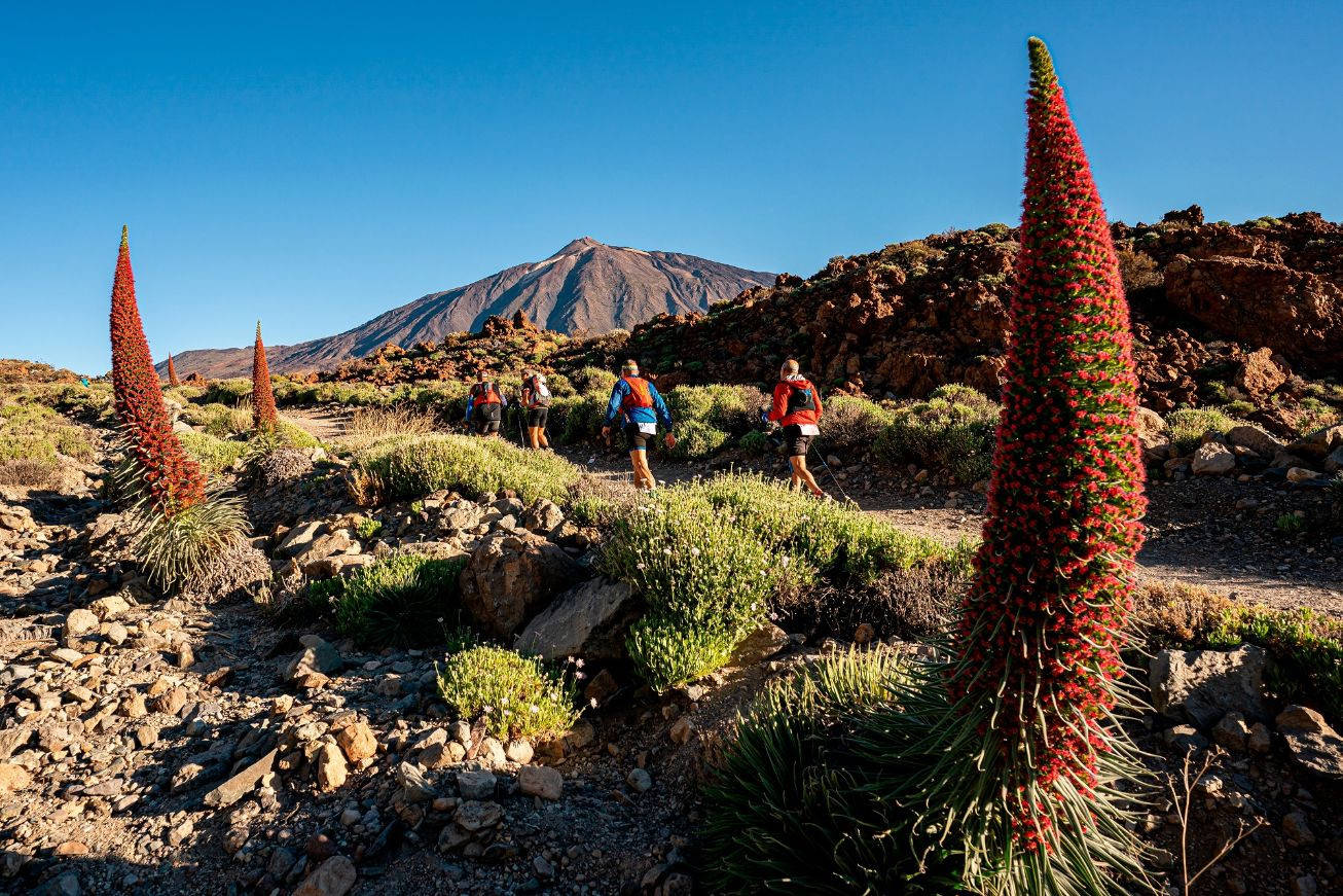 La Tenerife Bluetrail se une al circuito de las UTMB® World Series