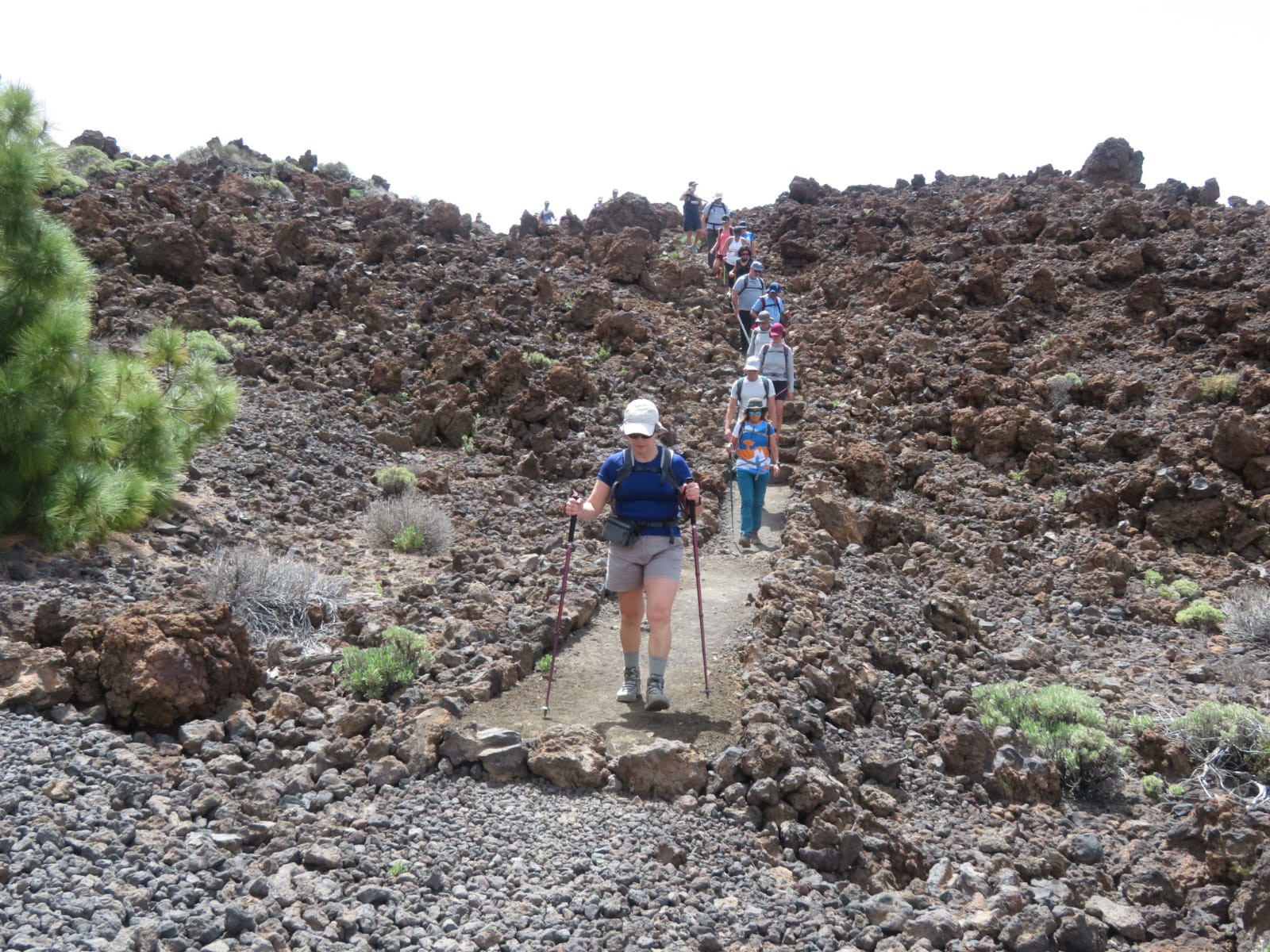 La segunda jornada de senderismo máster nos llevará al Parque Nacional del Teide