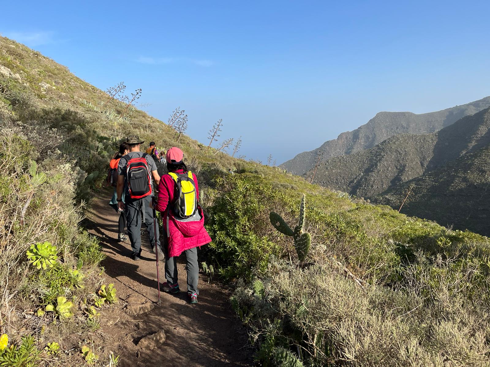 Descubre el Parque Rural de Teno en la cuarta jornada de senderismo máster