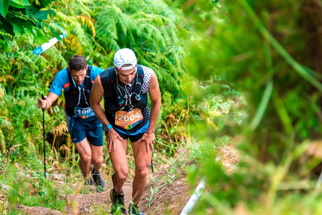 La Tenerife Bluetrail by UTMB® generará un impacto económico de más de siete millones