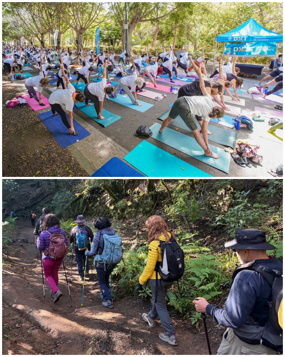20250620 juegos master Los VIII Juegos Máster celebran este fin de semana dos jornadas de yoga y senderismo