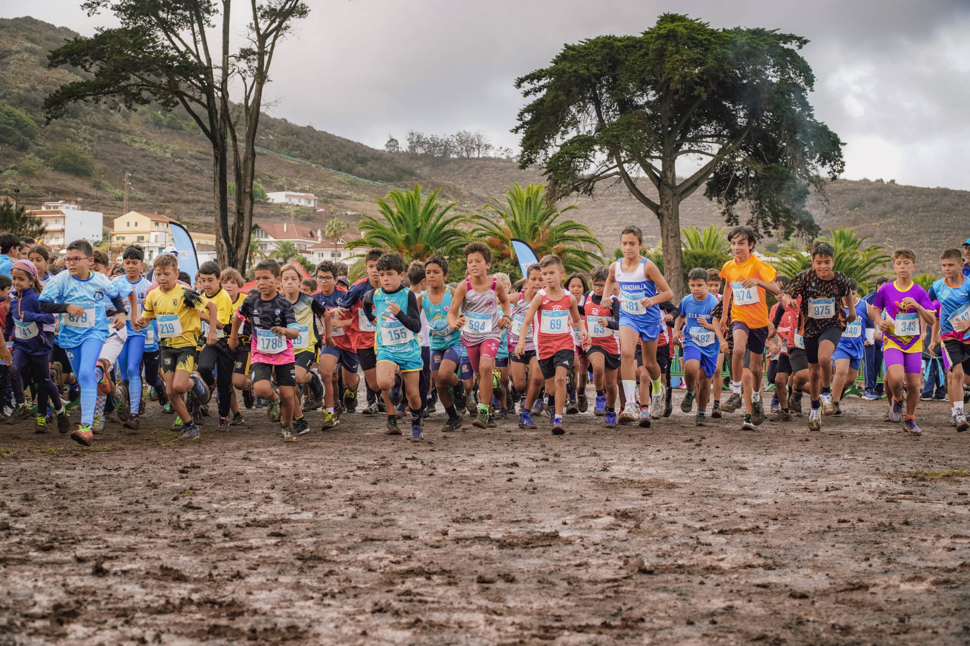 20251115 suspension campo a traves