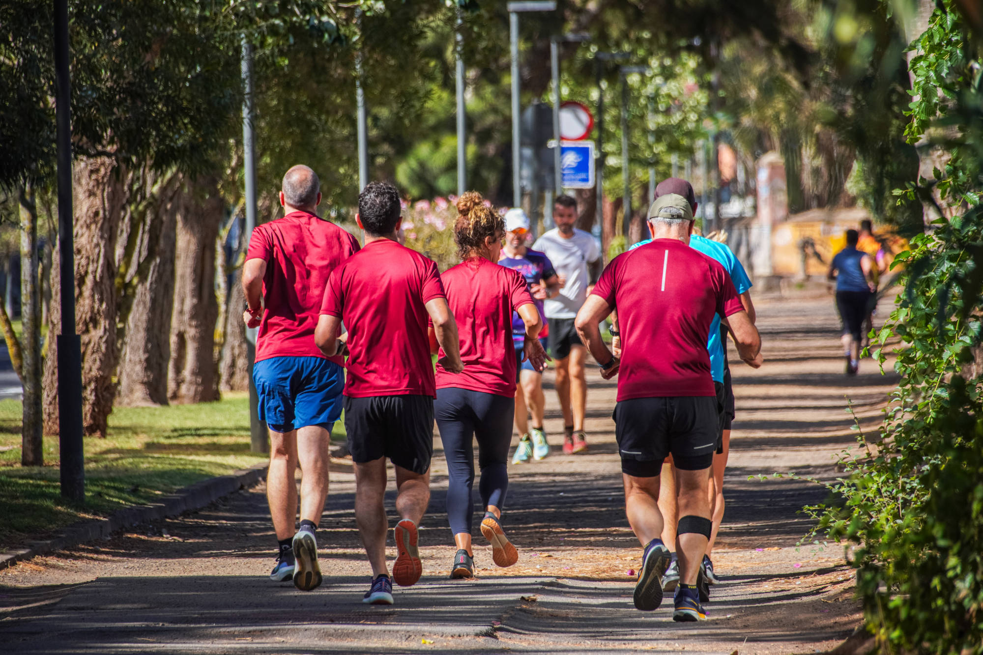 El Cabildo celebra el mes de la actividad física con numerosas actividades y eventos especiales