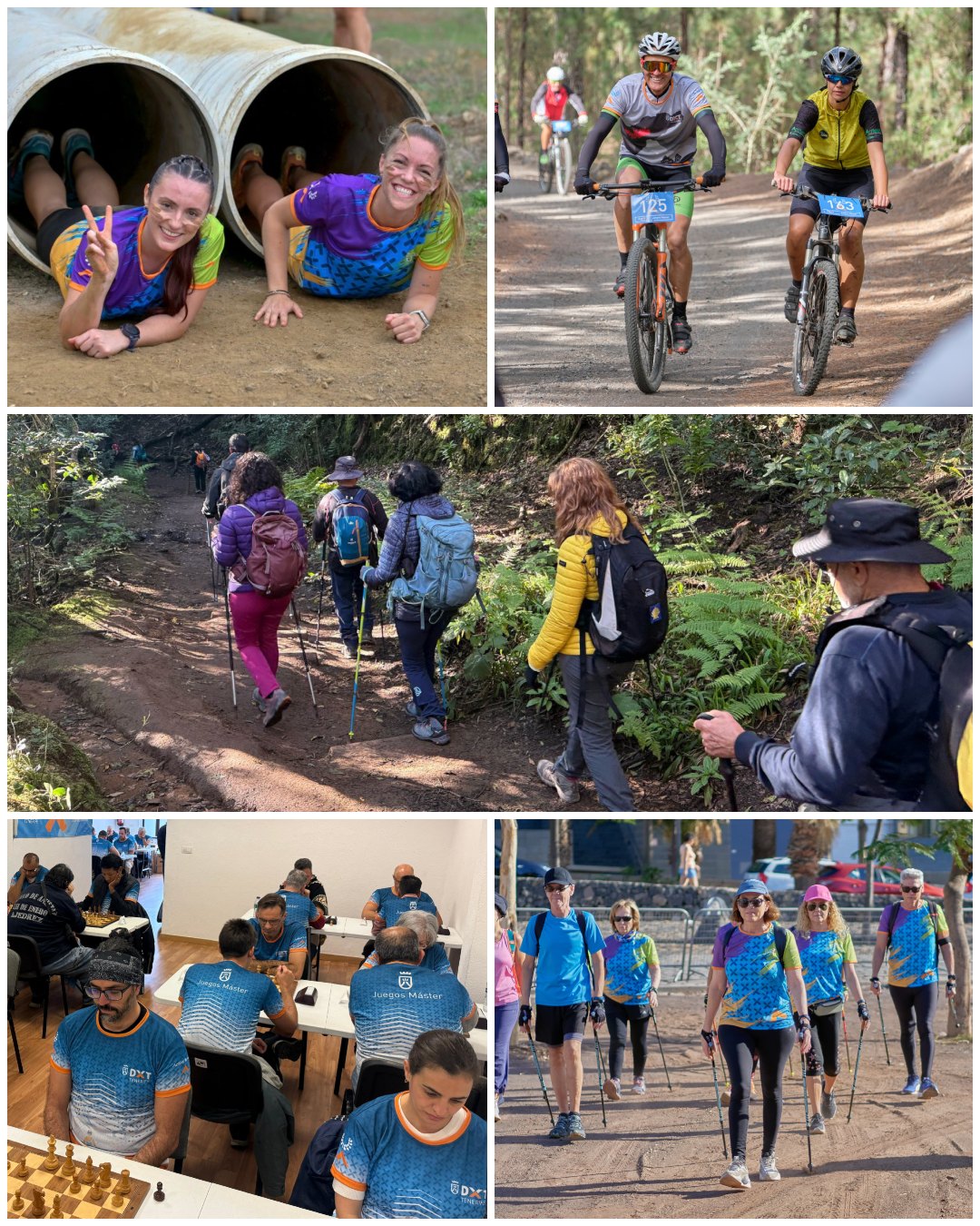 Carrera de obstáculos, senderismo, ajedrez, cicloturismo BTT y marcha nórdica protagonizan la agenda deportiva de los Juegos Máster en abril