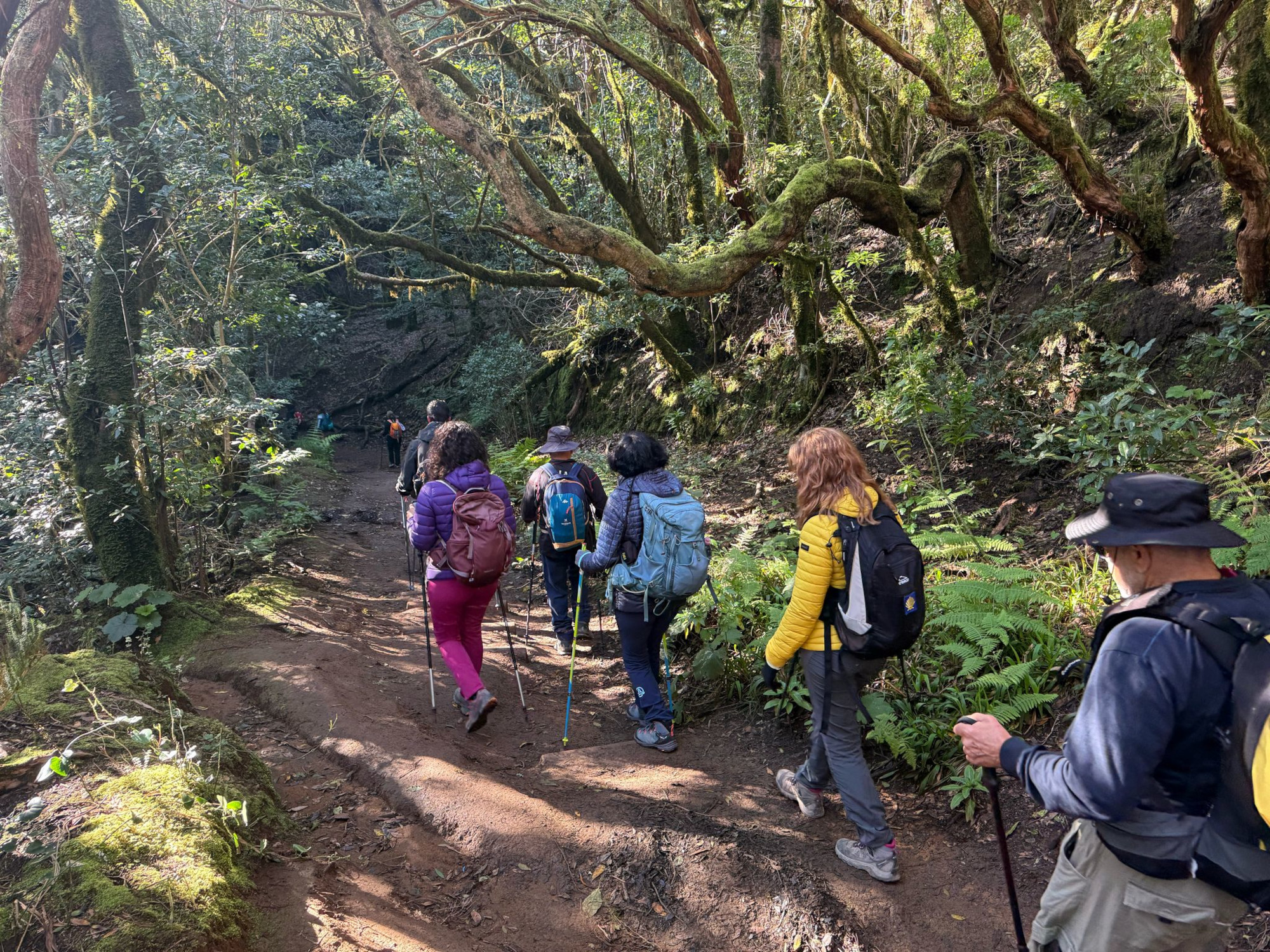 Anaga será el escenario de la segunda ruta de senderismo de los IX Juegos Máster